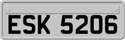 ESK5206