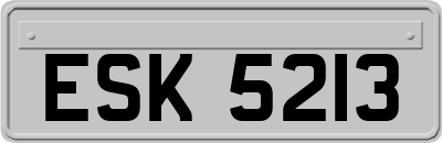 ESK5213