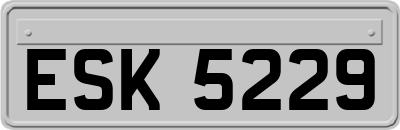 ESK5229