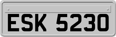 ESK5230