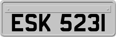 ESK5231