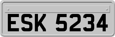 ESK5234