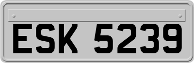 ESK5239