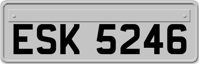 ESK5246