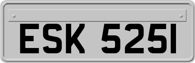 ESK5251