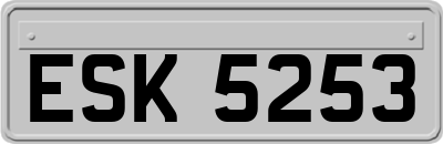 ESK5253
