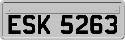 ESK5263