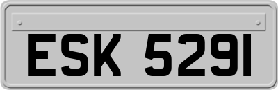 ESK5291