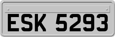 ESK5293