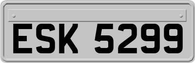 ESK5299