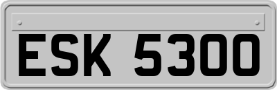 ESK5300
