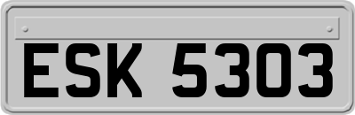 ESK5303