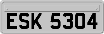 ESK5304