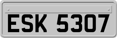 ESK5307