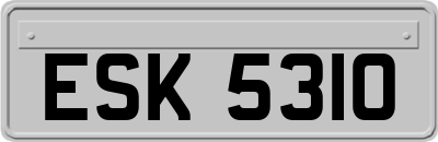 ESK5310