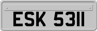 ESK5311