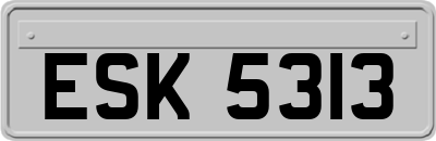 ESK5313