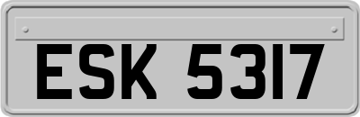 ESK5317