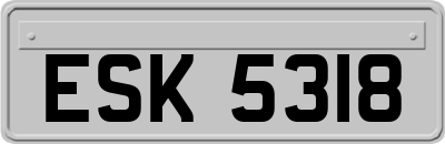 ESK5318