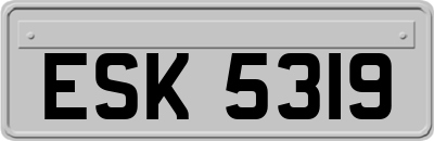 ESK5319