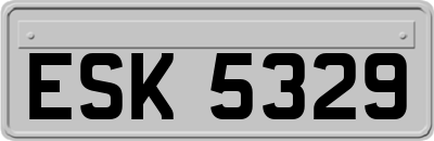 ESK5329