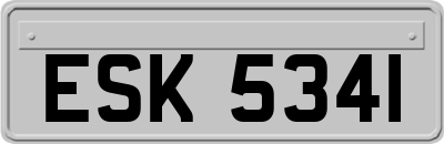 ESK5341
