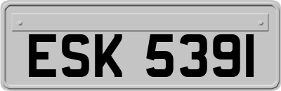 ESK5391