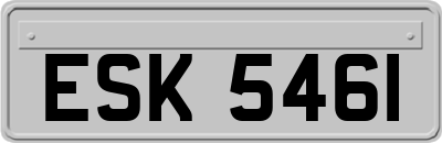 ESK5461