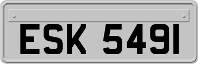 ESK5491