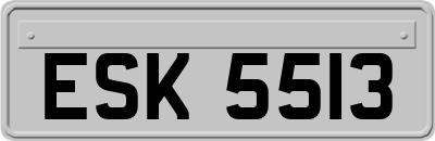 ESK5513