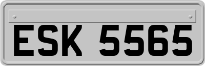 ESK5565