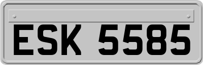 ESK5585