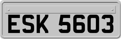 ESK5603