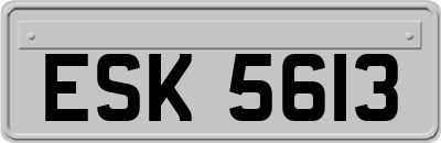 ESK5613
