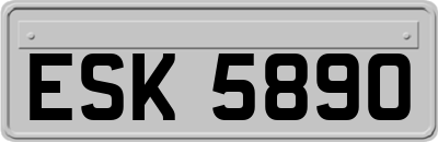 ESK5890