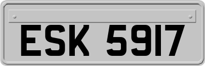 ESK5917