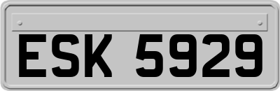 ESK5929