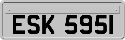 ESK5951