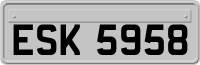 ESK5958