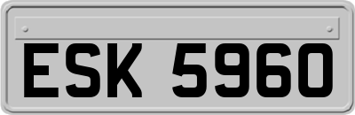 ESK5960