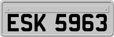 ESK5963