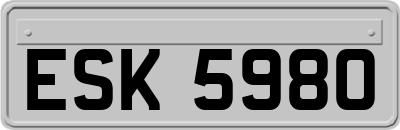 ESK5980