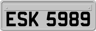 ESK5989