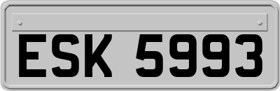 ESK5993