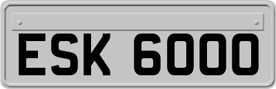 ESK6000