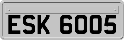ESK6005