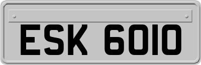 ESK6010