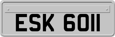 ESK6011