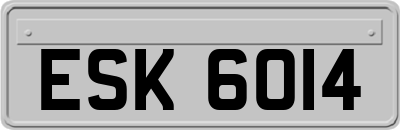 ESK6014