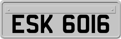ESK6016